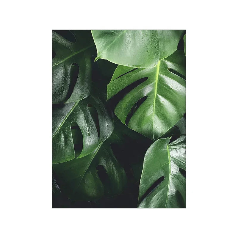 Affiche plante verte