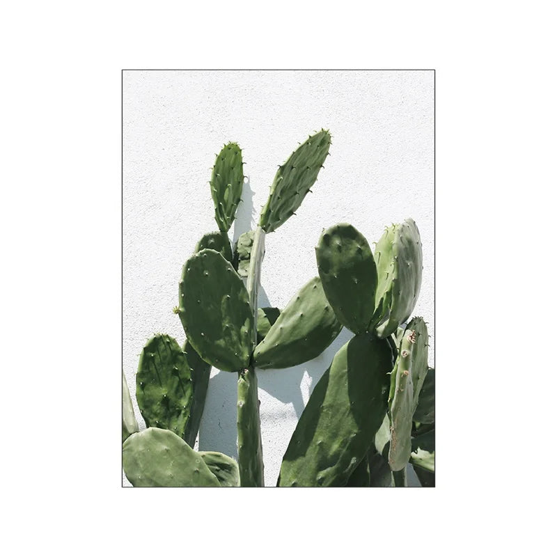 Affiche plante verte