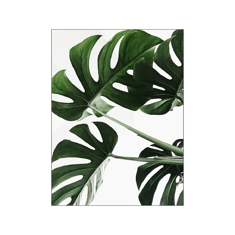 Affiche plante verte