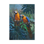 Affiche Jungle Couple Perroquet Déco-exotique.fr