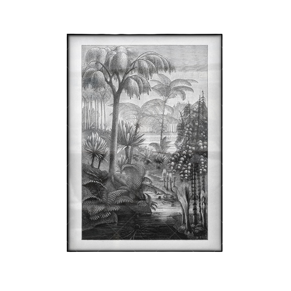 Affiche Jungle Noir et Blanc Déco-exotique.fr