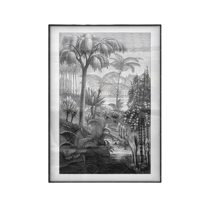 Affiche Jungle Noir et Blanc Déco-exotique.fr