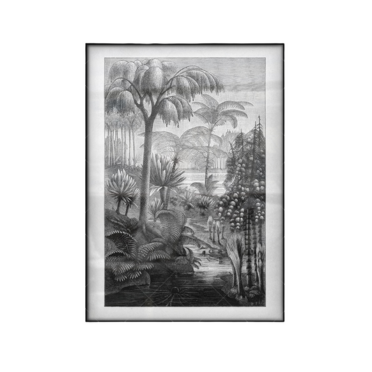 Affiche Jungle Noir et Blanc Déco-exotique.fr