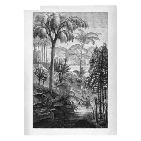 Affiche jungle en noir et blanc Poster feuilles - Artcamia