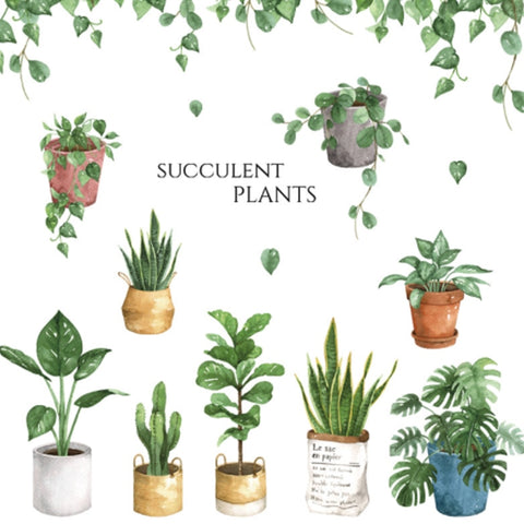 Stickers Plante Succulentes Déco-exotique.fr