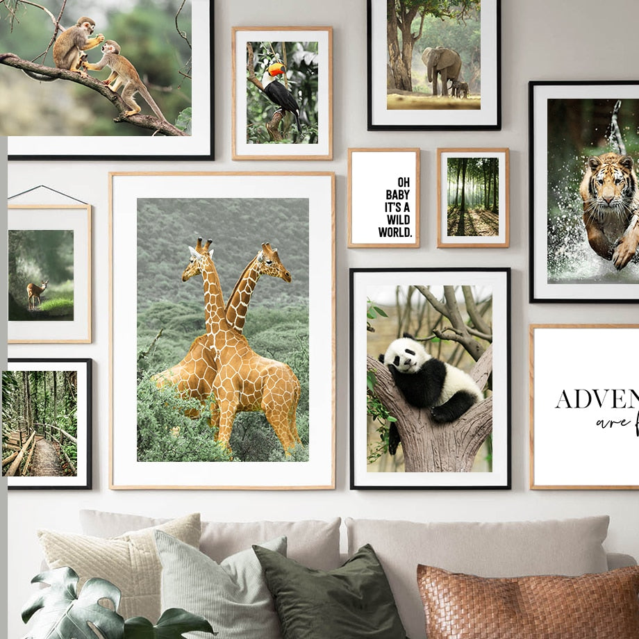 Affiche Jungle Animaux Forêt Déco-exotique.fr