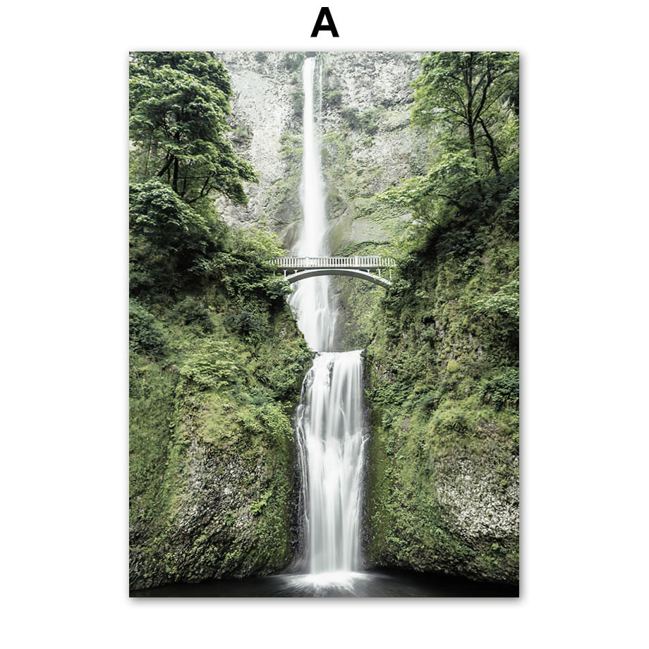 Poster Jungle Délicate Déco-exotique.fr