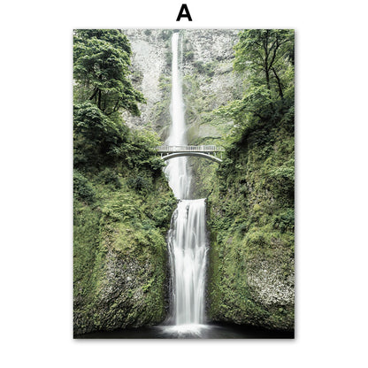 Poster Jungle Délicate Déco-exotique.fr