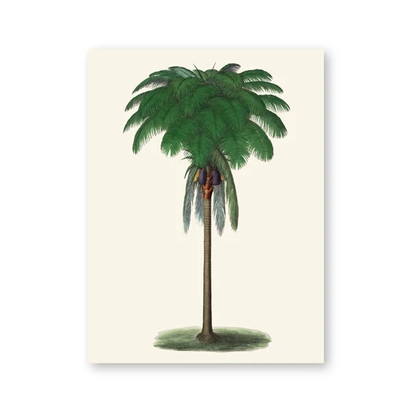 Poster Tropical Palm Déco-exotique.fr