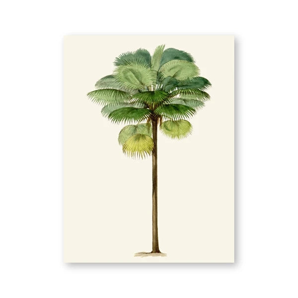 Poster Tropical Palm Déco-exotique.fr