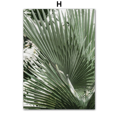 Affiche Jungle Urbaine Déco-exotique.fr