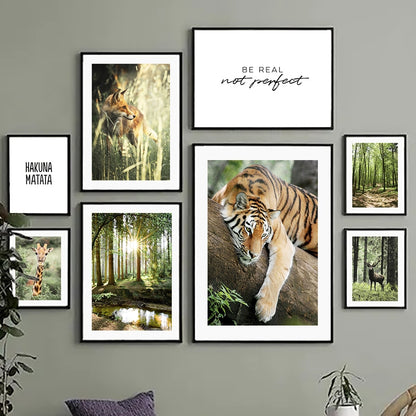 Affiche animaux Jungle et Forêt Déco-exotique.fr