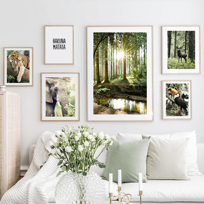 Affiche animaux Jungle et Forêt Déco-exotique.fr