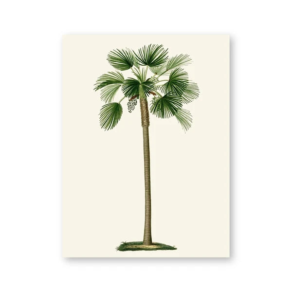 Poster Tropical Palm Déco-exotique.fr