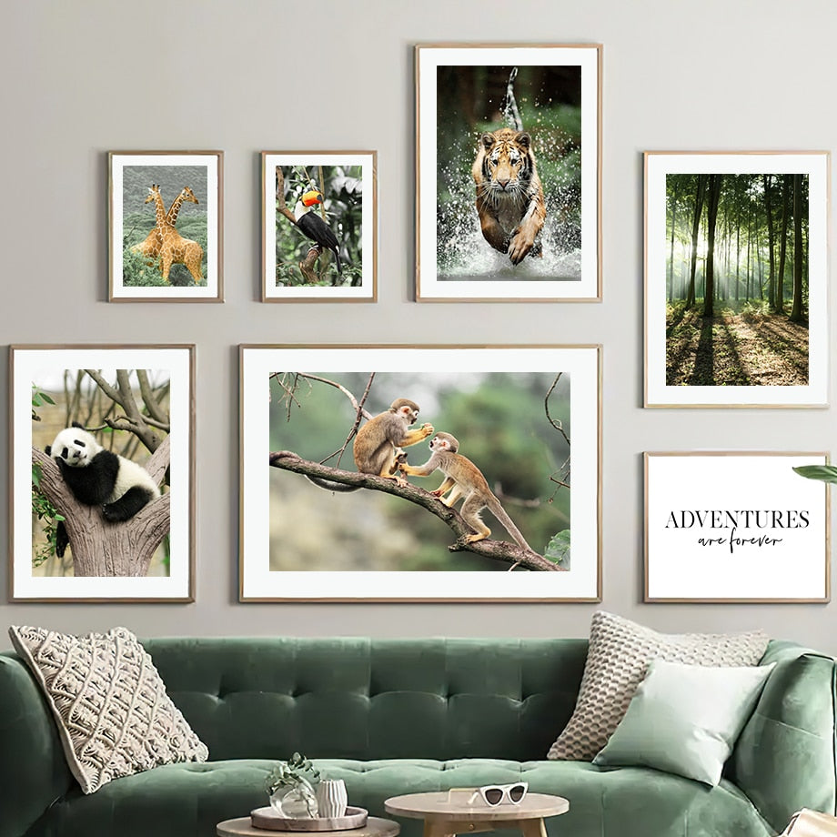 Affiche Jungle Animaux Forêt Déco-exotique.fr