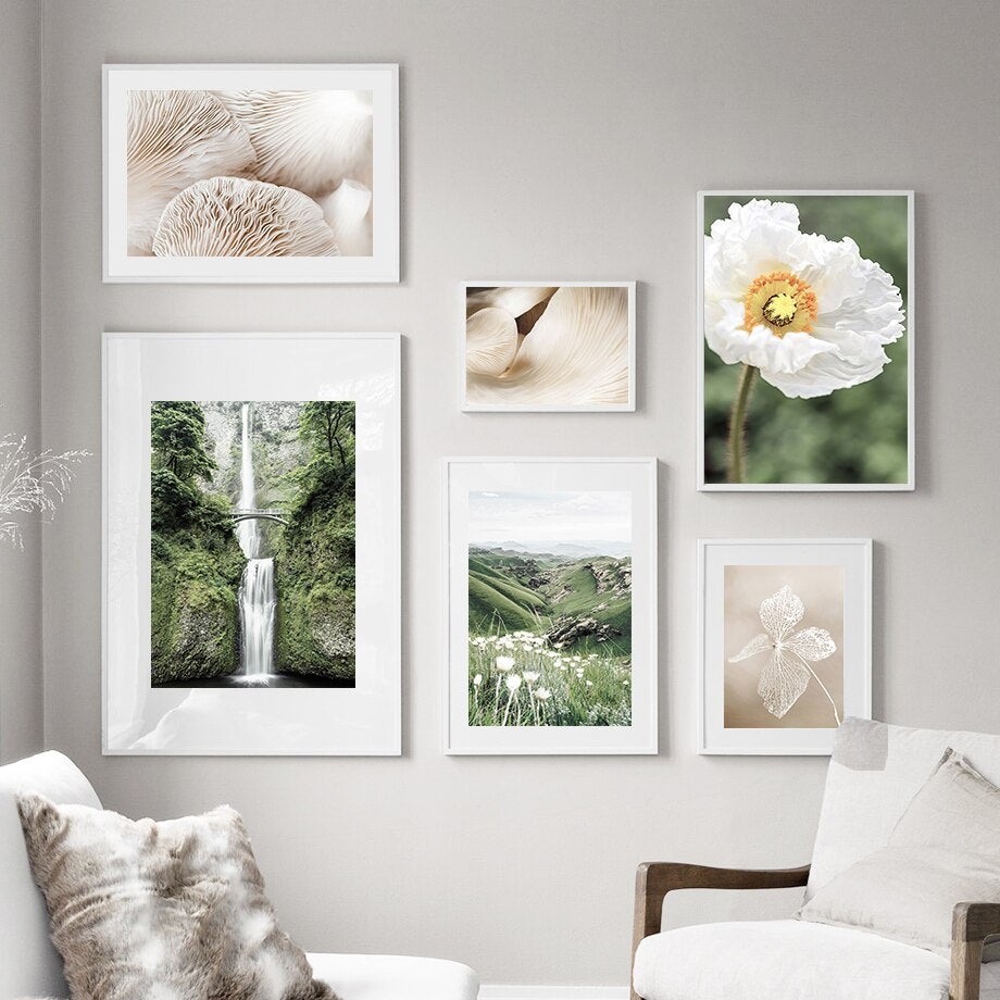 Poster Jungle Délicate Déco-exotique.fr