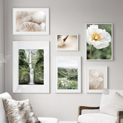 Poster Jungle Délicate Déco-exotique.fr