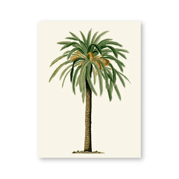 Poster Tropical Palm Déco-exotique.fr