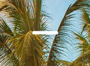 Papier peint Tropical Plage Déco-exotique.fr