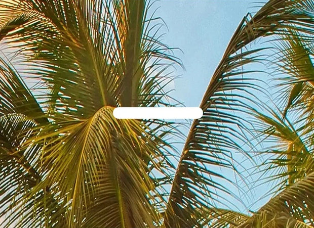 Papier peint Tropical Plage Déco-exotique.fr