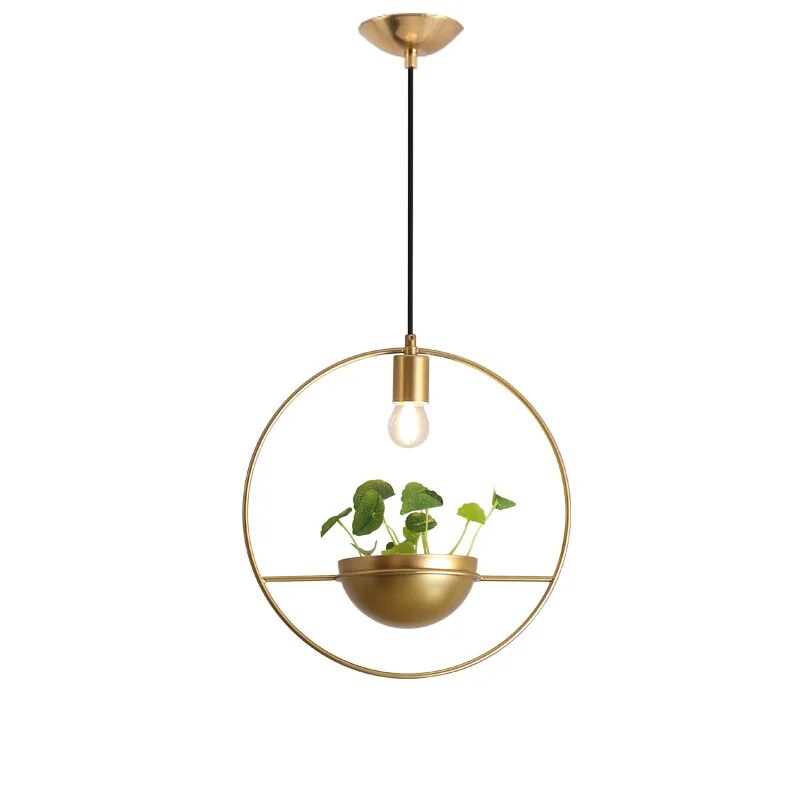 Luminaire avec Plante Déco-exotique.fr