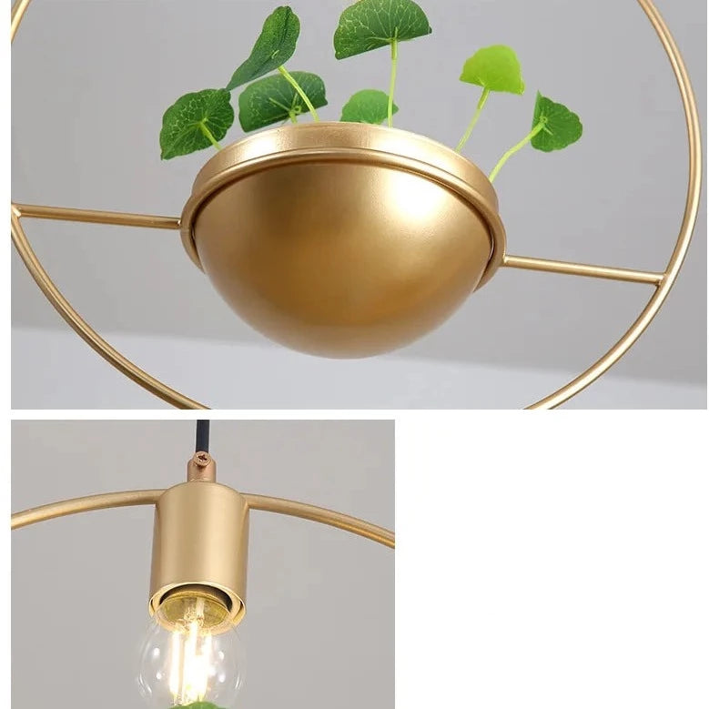 Luminaire avec Plante Déco-exotique.fr