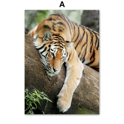 Affiche animaux Jungle et Forêt Déco-exotique.fr