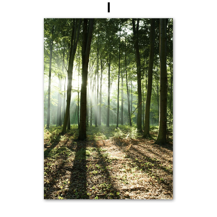 Affiche Jungle Animaux Forêt Déco-exotique.fr