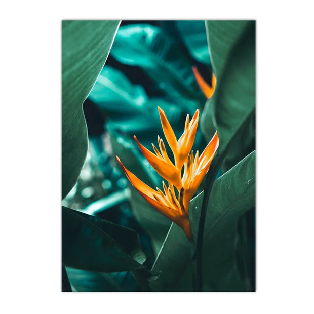 Poster Jungle Terra Tropica Déco-exotique.fr
