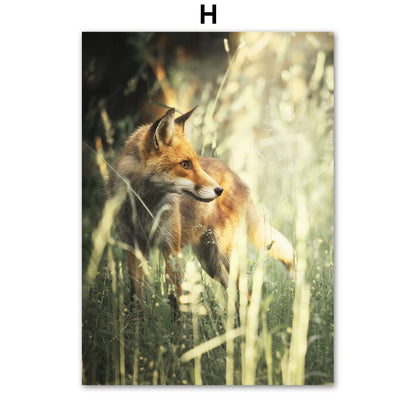 Affiche animaux Jungle et Forêt Déco-exotique.fr