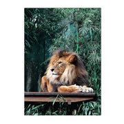 Poster Jungle Terra Tropica Déco-exotique.fr