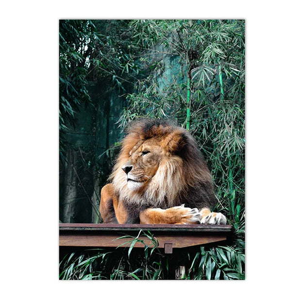 Poster Jungle Terra Tropica Déco-exotique.fr