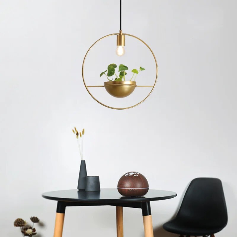 Luminaire avec Plante Déco-exotique.fr