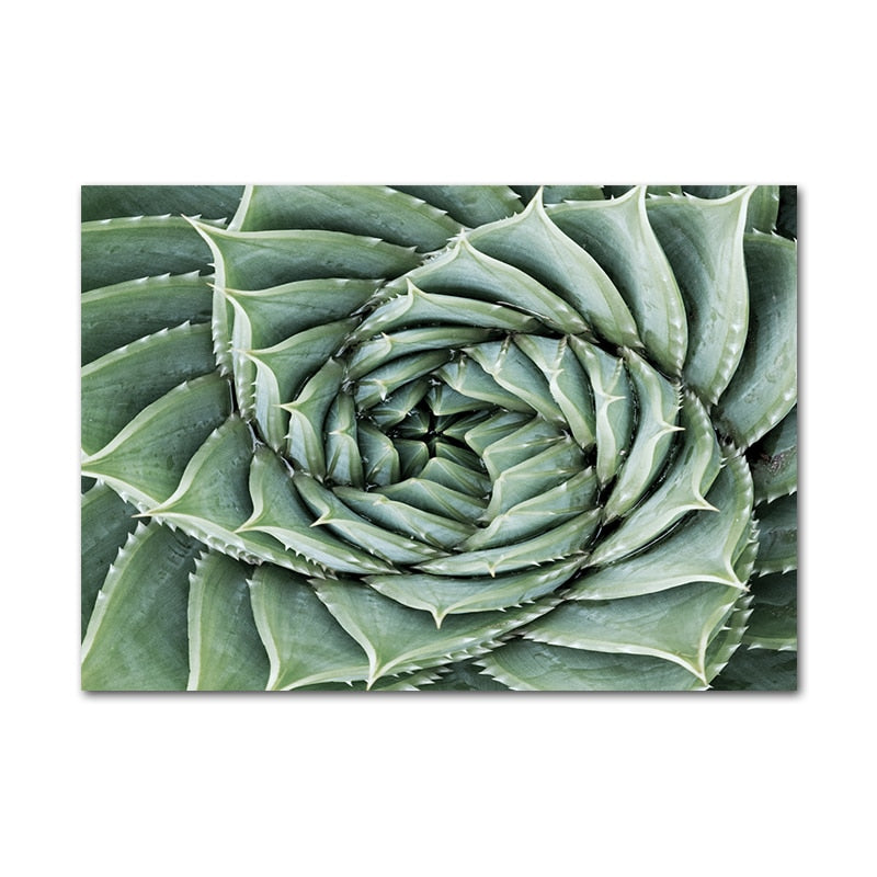 Affiche Jungle Plantes Déco-exotique.fr