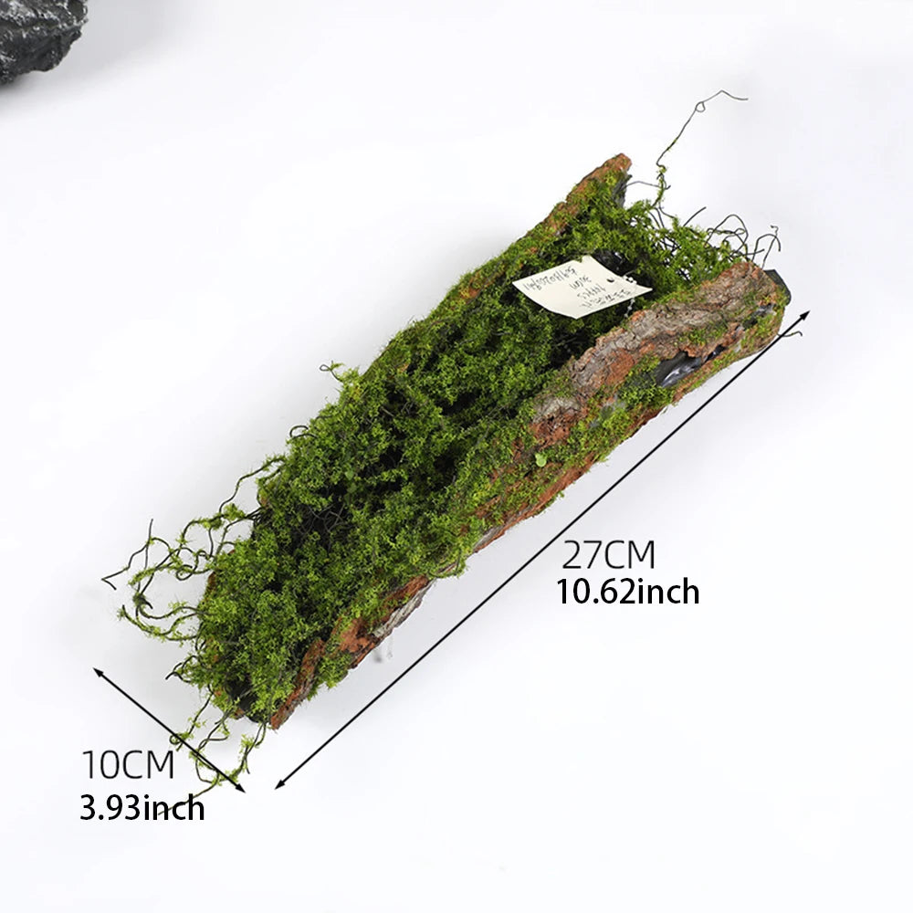 Écorce avec Mousse Artificielle- Déco Exotique