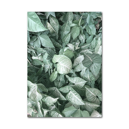 Affiche Jungle Plantes Déco-exotique.fr