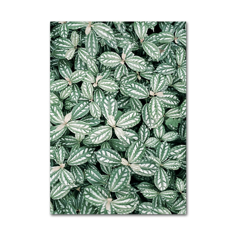 Affiche Jungle Plantes Déco-exotique.fr