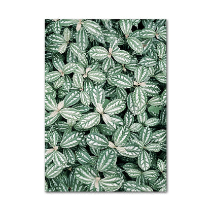 Affiche Jungle Plantes Déco-exotique.fr