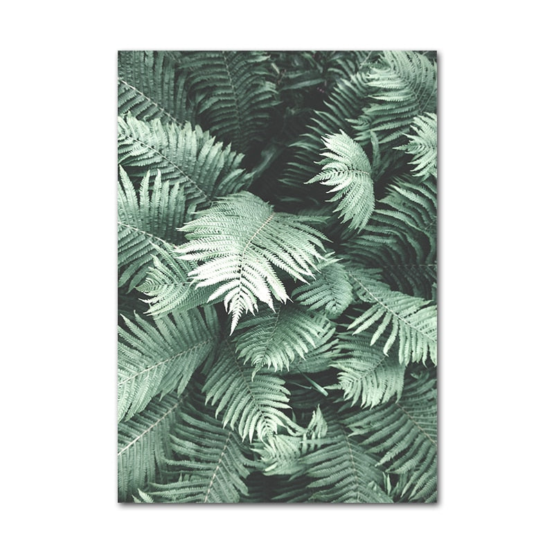 Affiche Jungle Plantes Déco-exotique.fr