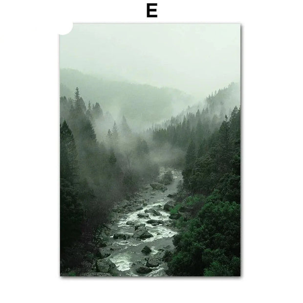 Poster Jungle Brume Déco-exotique.fr