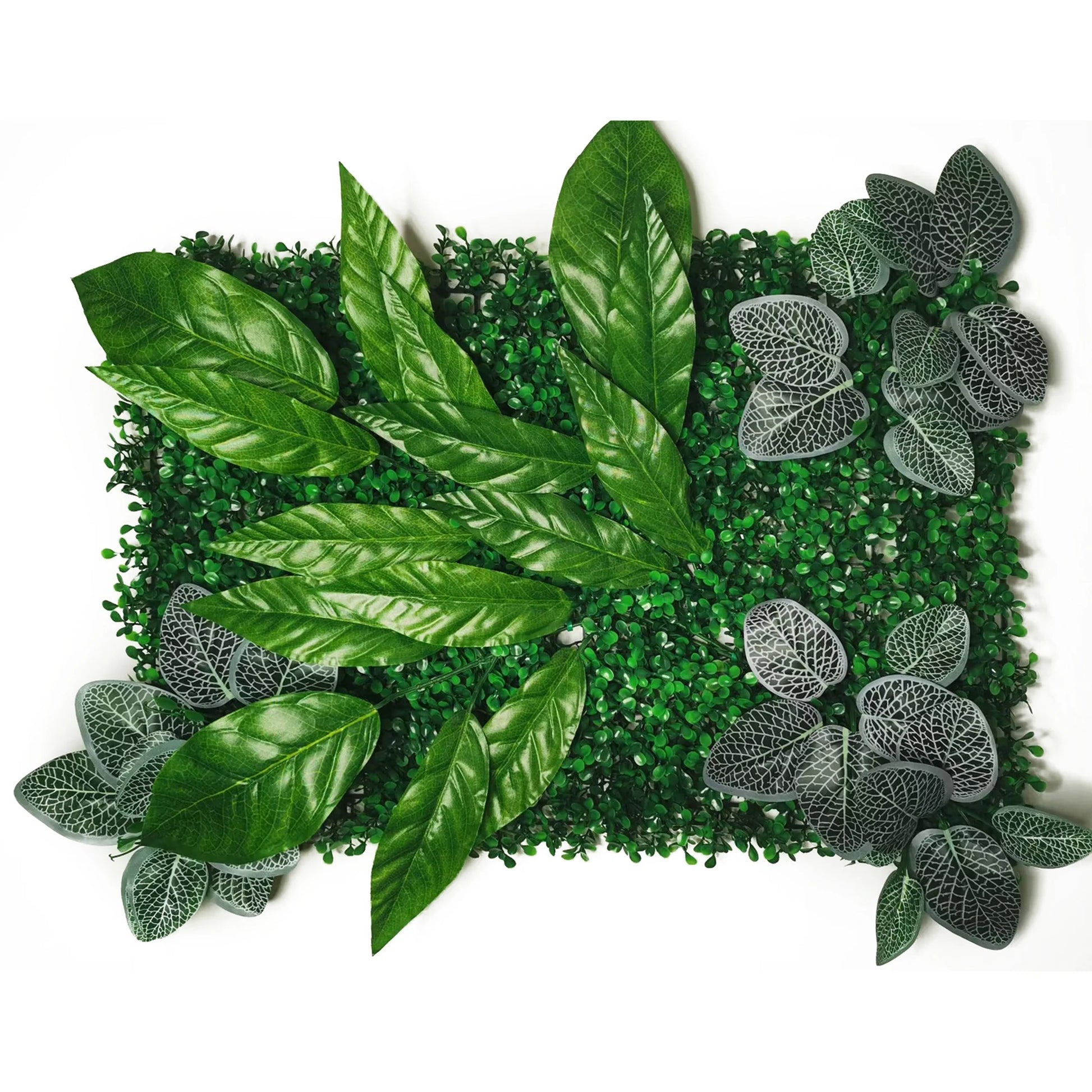Tableau Végétal Feuillage- Déco Exotique