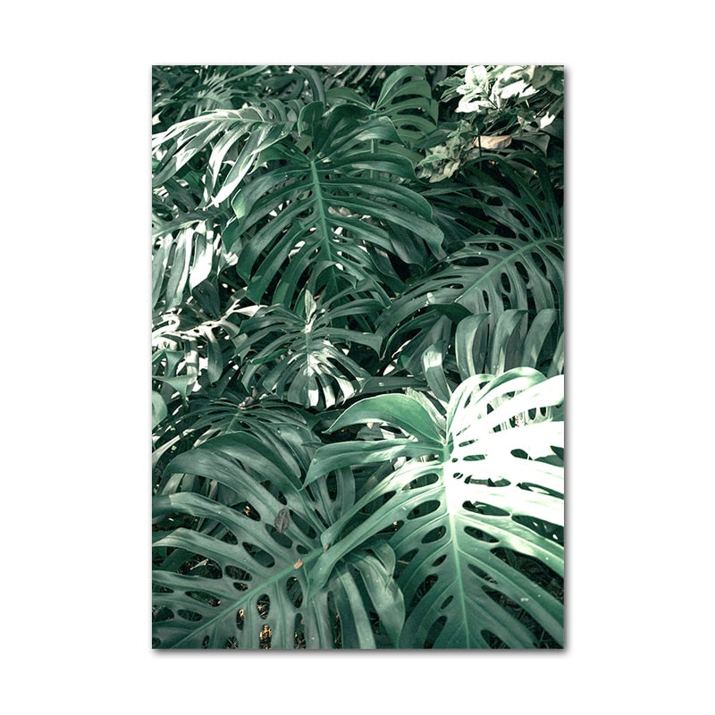 Affiche Jungle Plantes Déco-exotique.fr