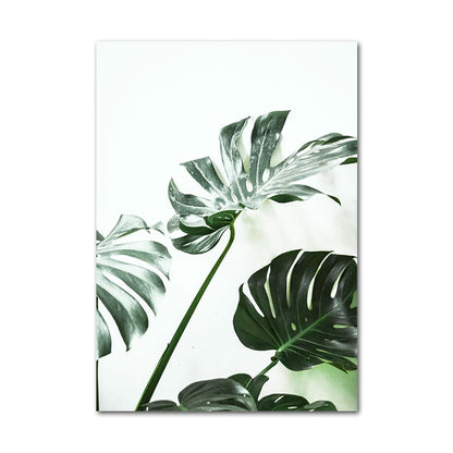 Affiche Jungle Plantes Déco-exotique.fr