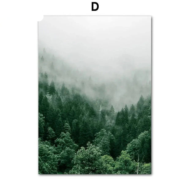 Poster Jungle Brume Déco-exotique.fr