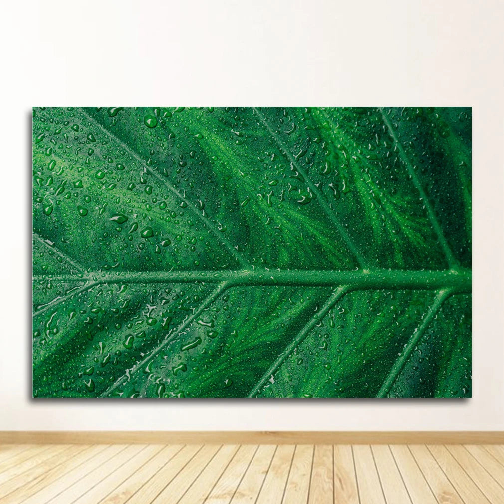 Poster Forêt-Déco Exotique