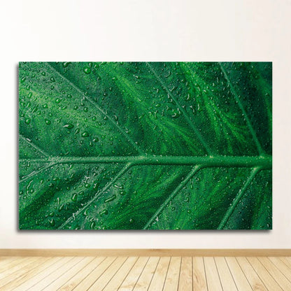 Poster Forêt-Déco Exotique