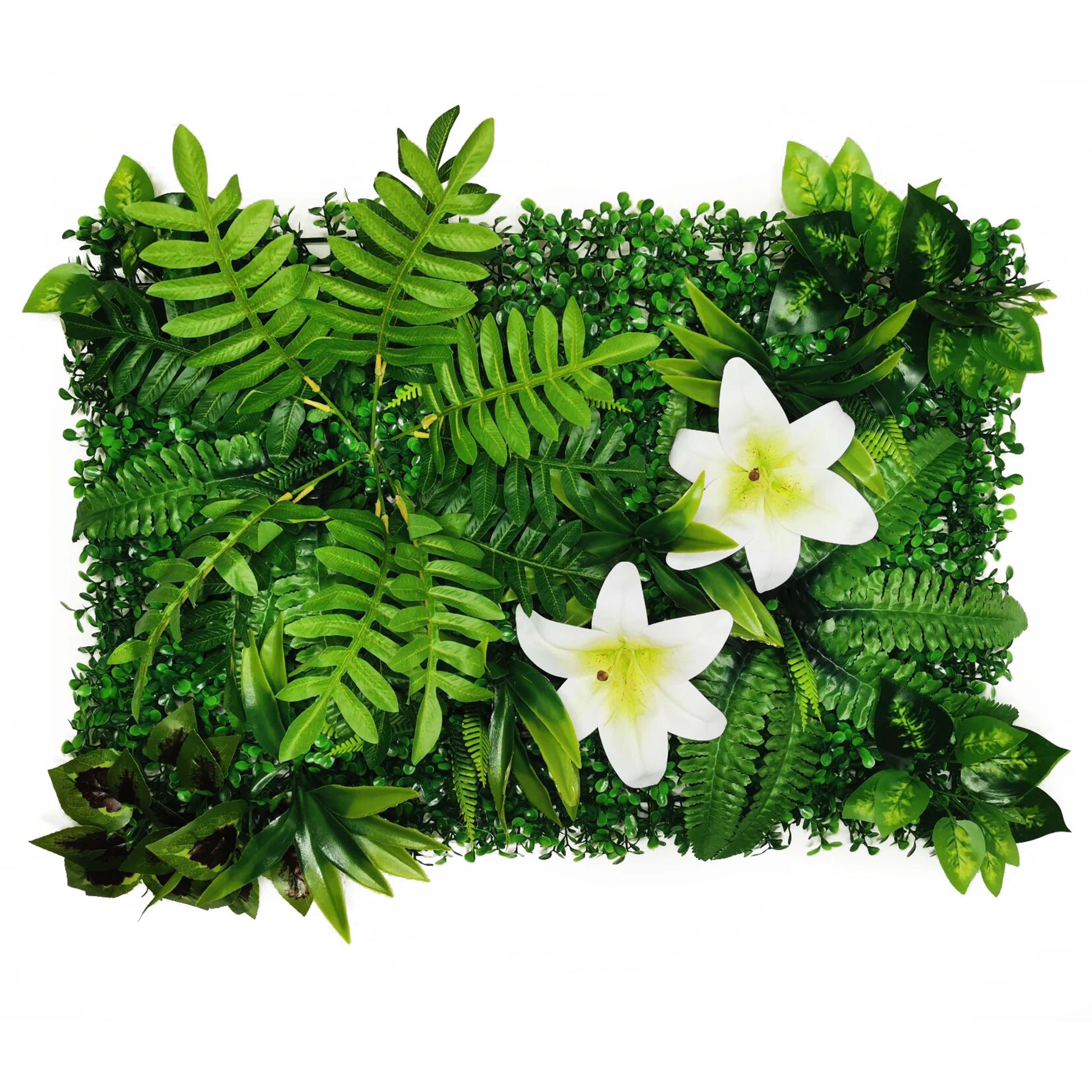 Tableau Végétal Minimaliste- Déco Exotique