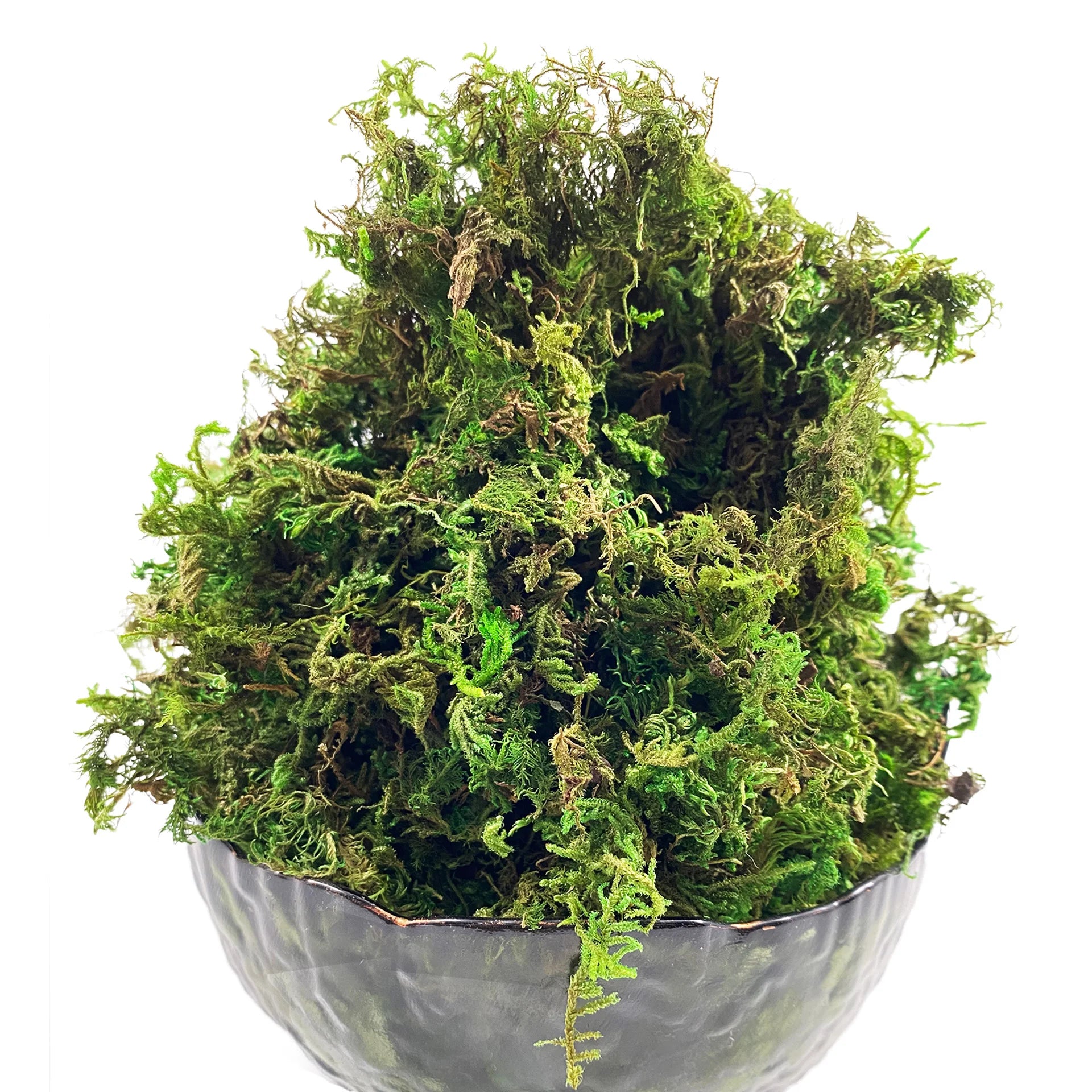 Mousse Artificielle pour Fleurs- Déco Exotique
