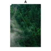 Poster Jungle Brume Déco-exotique.fr