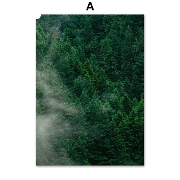 Poster Jungle Brume Déco-exotique.fr